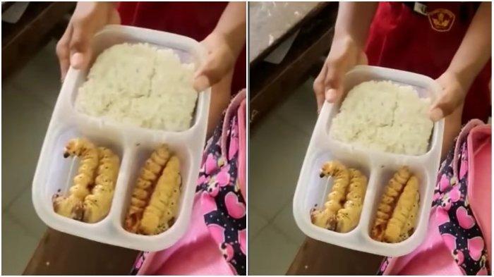 viral video guru bully muridnya karena bawa bekal ulat sagu ke sekolah. Kini berikan klarifikasinya.