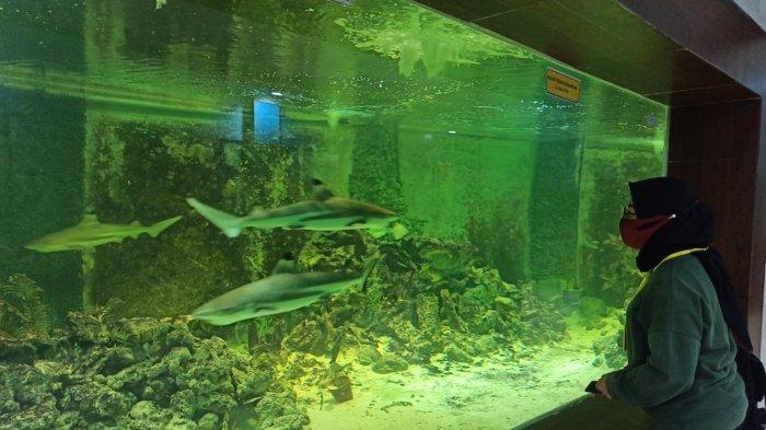 Wisatawan saat melihat koleksi satwa di Central Park Zoo, Deliserdang.