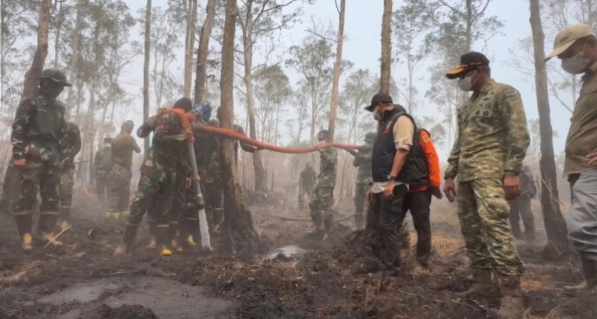 Korban Karhutla & Jurnalis Resmi Gugat UU Perkebunan ke MK