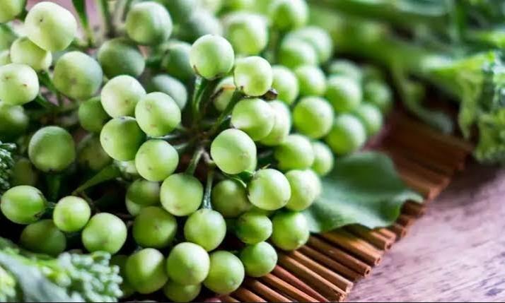 11 Manfaat Rimbang untuk Kesehatan, Dapat Meningkatkan Sirkulasi Darah ...