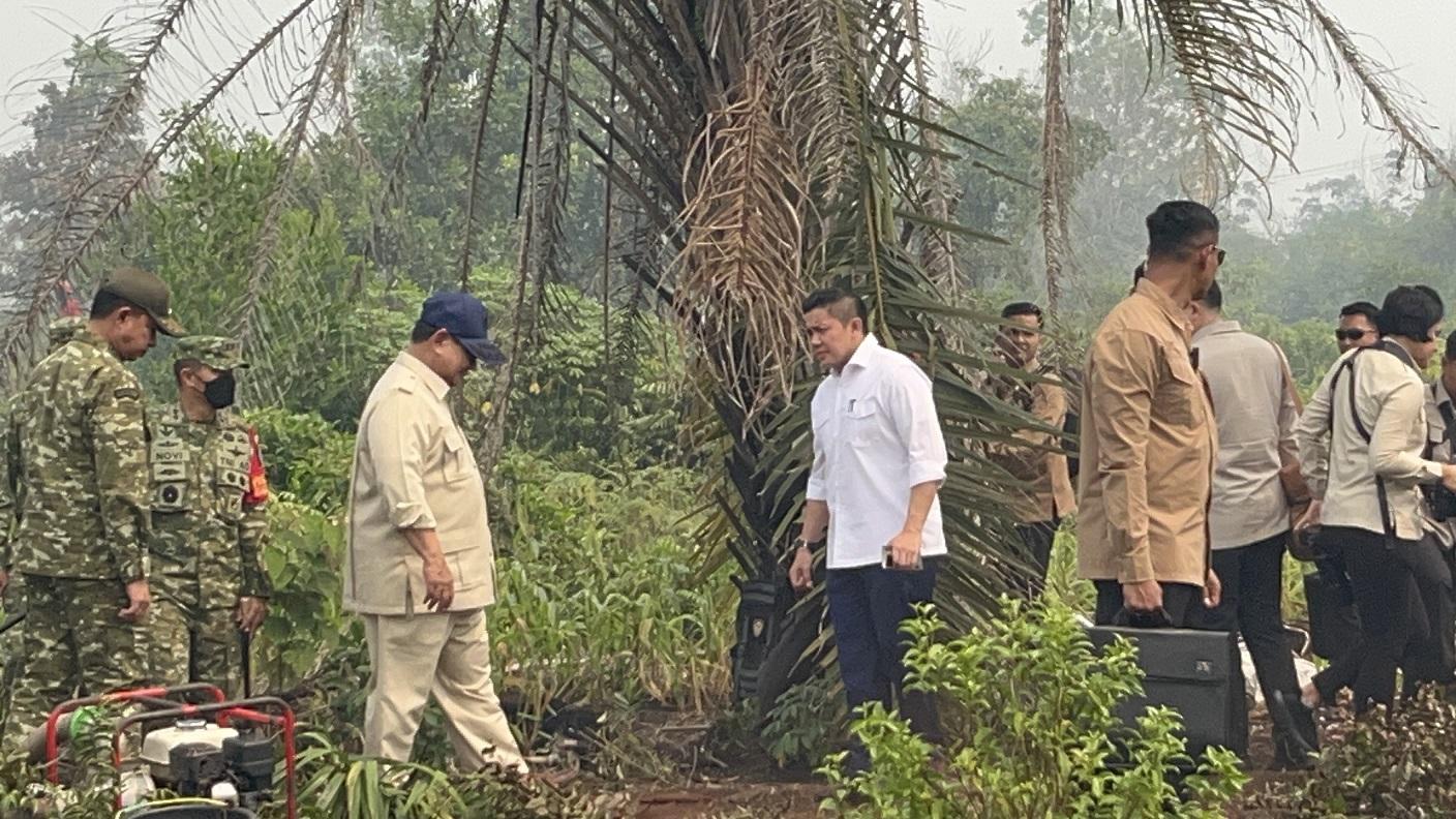 Dampak Karhutla Makin Mengancam, 75.712 Balita Terkena ISPA, IDAI: Negara Terlibat di Dalamnya