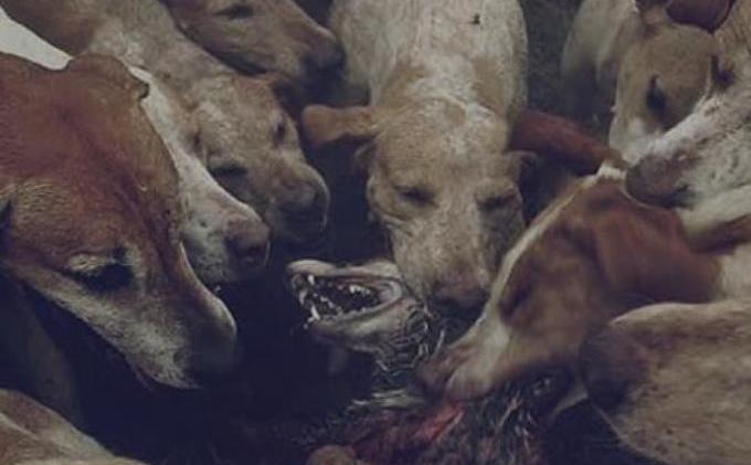 Inilah Foto Menyeramkan Sepanjang Sejarah yang Tertangkap Kamera