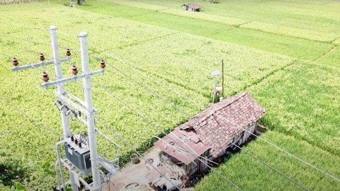 Kunci Sukses Membaiknya Kinerja PLN 2023, Menambah Pelanggan Terbanyak dari Golongan Rumah Tangga