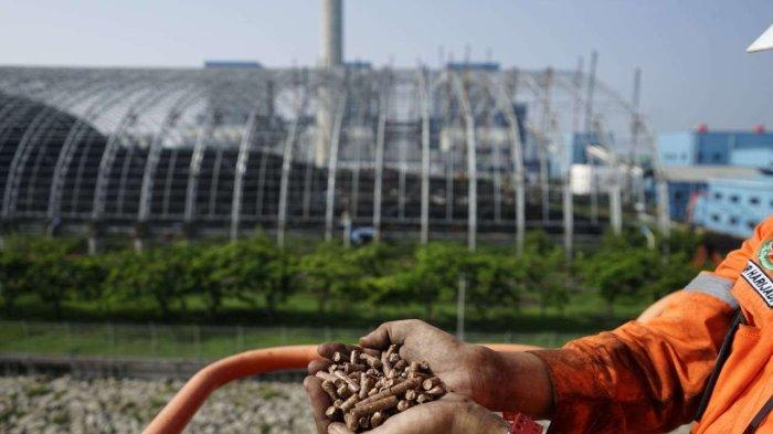 Lewat Co-Firing, 40 PLTU PLN Grup Mampu Turunkan Emisi Hingga 429 Ribu Ton CO2