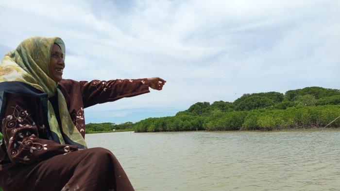 PENJAGA MANGROVE - Pasijah (55) atau Mak Jah menunjukan hutan mangrove yang telah ditanamnya sejak puluhan lalu, Selasa (18/2/2025). Dia memilih bertahan di kampungnya di Dukuh Rejosari, Desa Bedono, Kecamatan Sayung, Kabupaten Demak karena ingin menjaga hutan mangrove tersebut.