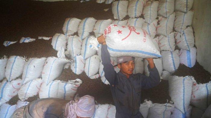 WOOD PELLET - Pekerja mengangkut produk wood pellet dari gudang produksi. Wood pellet menjadi primadona baru komoditi ekspor Temanggung.