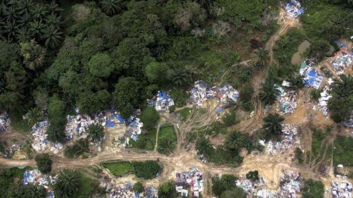 Melihat Perkampungan Ilegal WNI di Malaysia, di Tengah Hutan Lebat