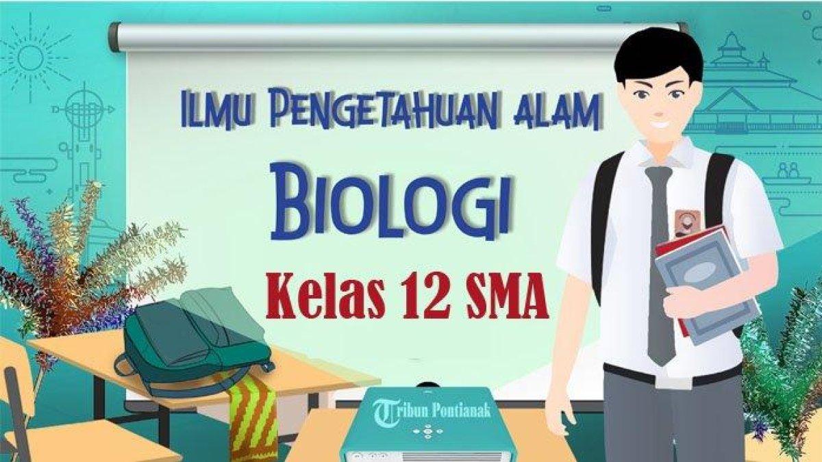 50-SOAL-UAS-Biologi-Kelas-12-SMA-dan-Kunci-Jawaban-SAS-USBN-US-Pilihan-Ganda-2024