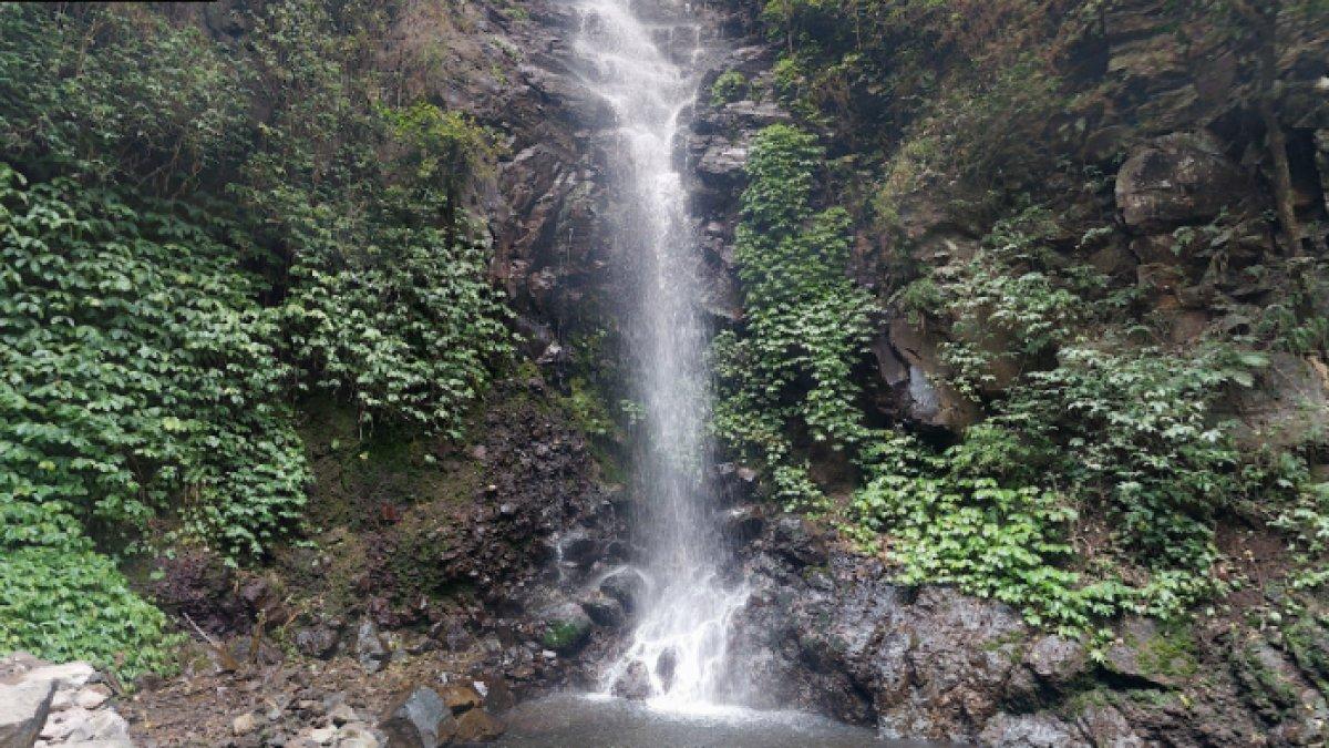 WISATA AIR - Potret Air Terjun Dlundung diambil dari Google Street View pada Rabu (26/3/2025). Air Terjun Dlundung berlokasi di Desa Ketapan Rame, Kecamatan Trawas, Kabupaten Mojokerto, Jawa Timur.