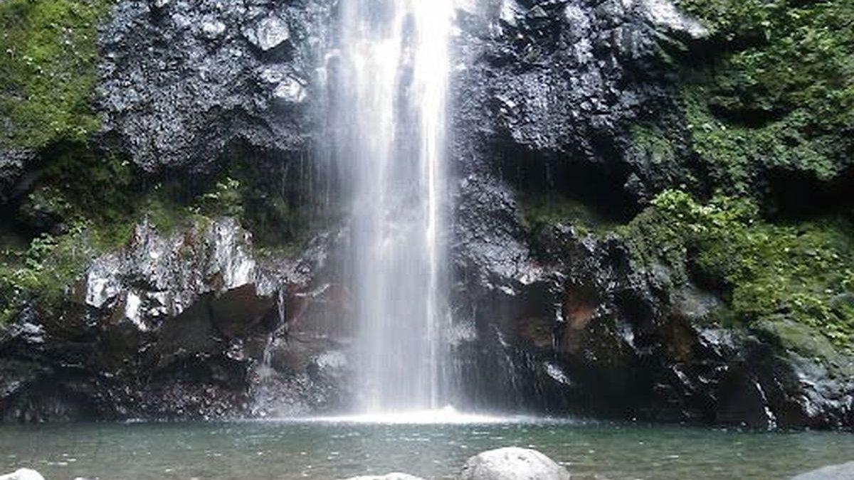 WISATA AIR - Potret Air Terjun Kakek Bodo disadur dari Kompas.com pada Rabu (26/3/2025). Air Terjun Kakek Bodo berada di Pasuruan, Jawa Timur.