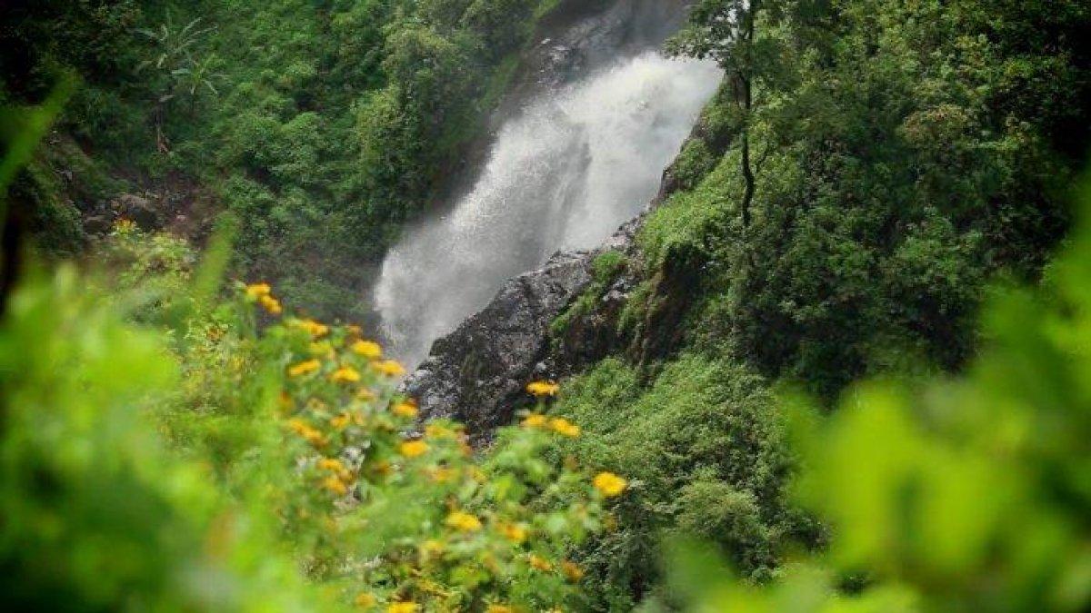 WISATA AIR - Potret Air Terjun Pletuk disadur dari TribunTravel.com pada Rabu (16/4/2025). Air Terjun Pletuk berada di Kabupaten Ponorogo, Jawa Timur.