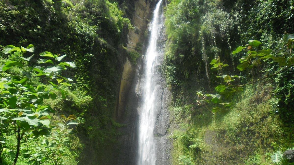 WISATA YOGYAKARTA - Air Terjun Sidoharjo di Samigaluh, Kulon Progo yang merupakan air terjun tertinggi yang ada di Provinsi DI Yogyakarta