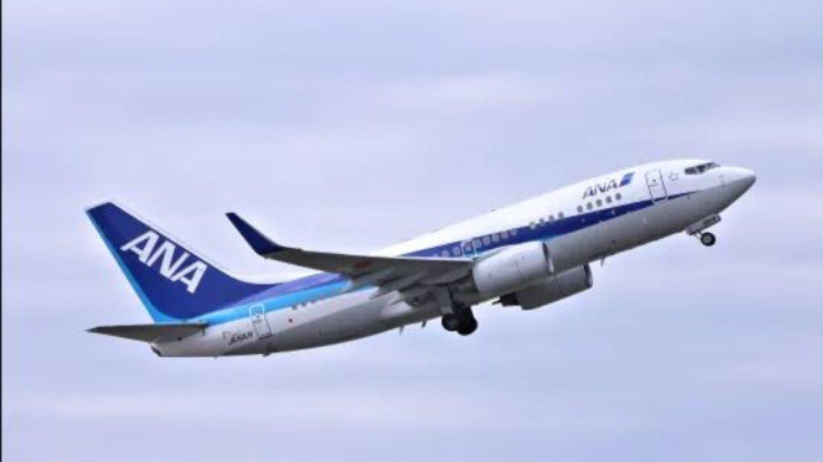 All Nippon Airways mengalami retak kaca jendela kokpitnya saat terbang di udara.