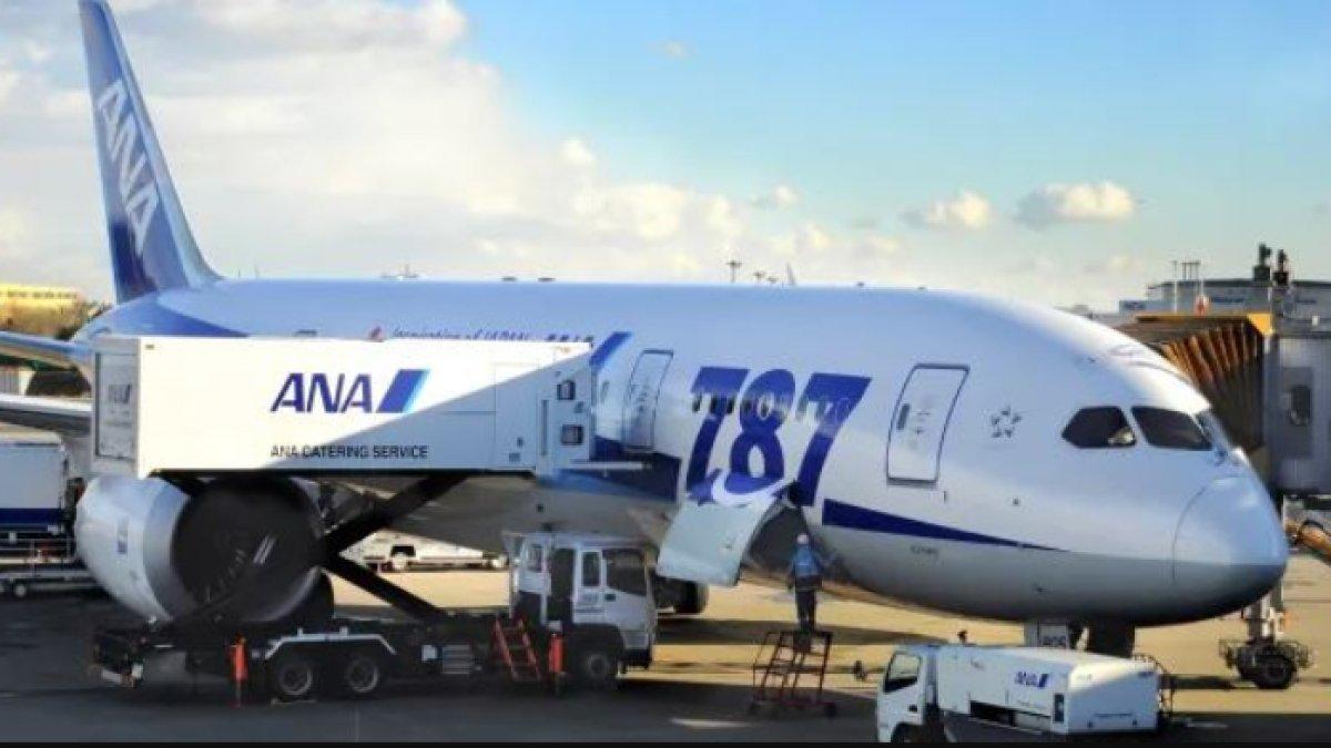 ILUSTRASI. All Nippon Airways mengalami retak kaca jendela kokpitnya saat terbang di udara.