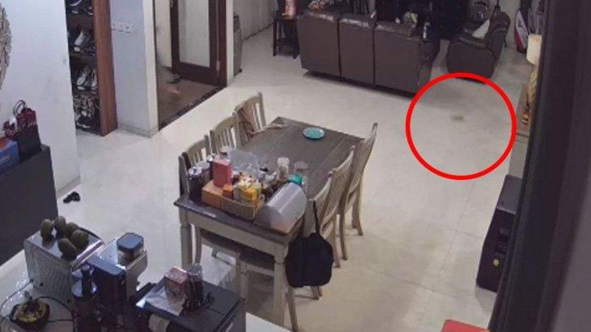 Anak artis Hengky Kurniawan menyelamatkan adiknya di kamar saat gempa Garut