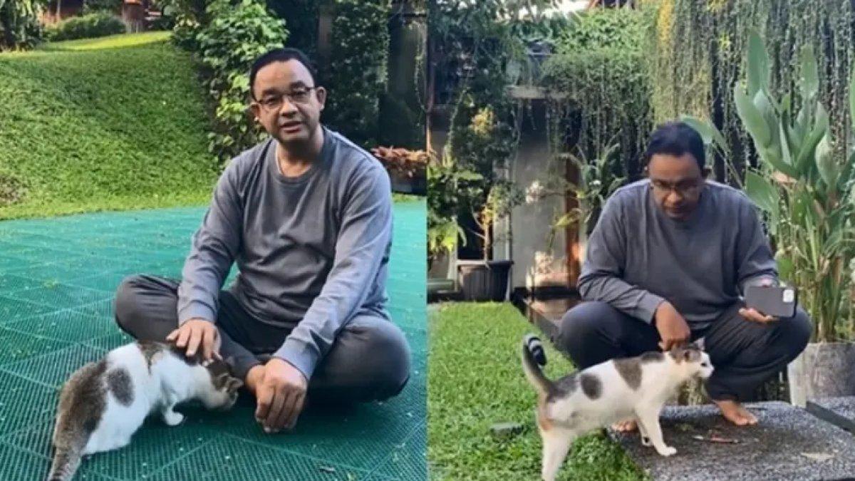 Anies Baswedan memelihara kucing