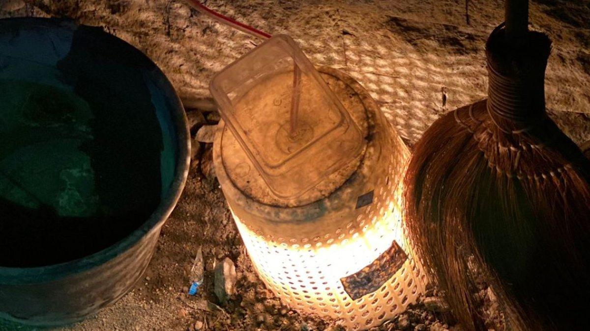 Ari-ari Bayi Dikuburkan