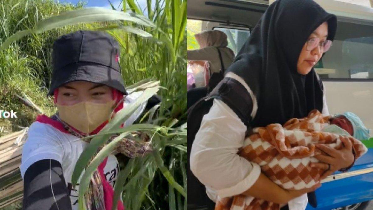 Asyok cari rumput, petani syok temukan bayi baru lahir di hutan