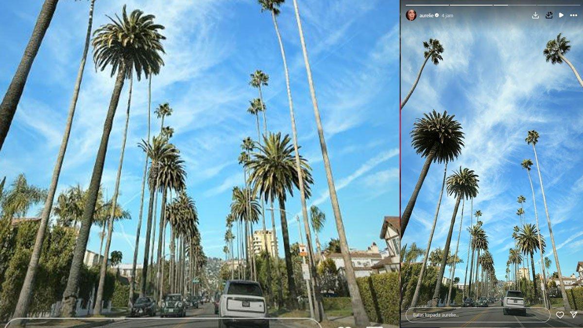 Aurelie Moeremans pamer langit California