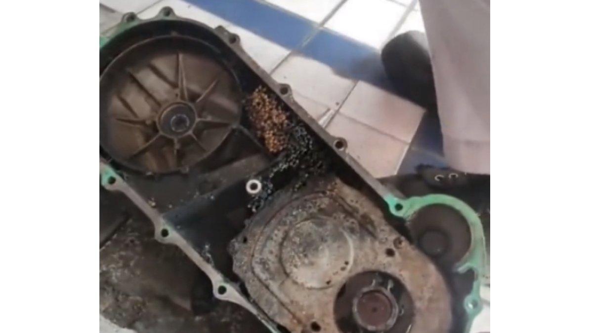 Bagian mesin di motor seorang wanita terlihat ada sarang tawon.