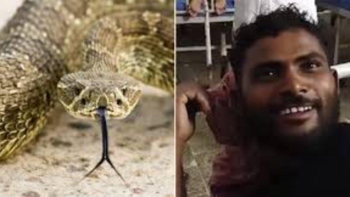 Balas dendam setelah dipatuk ular berbisa, pria di Bihar, India gigit balik ular tersebut hingga mati.