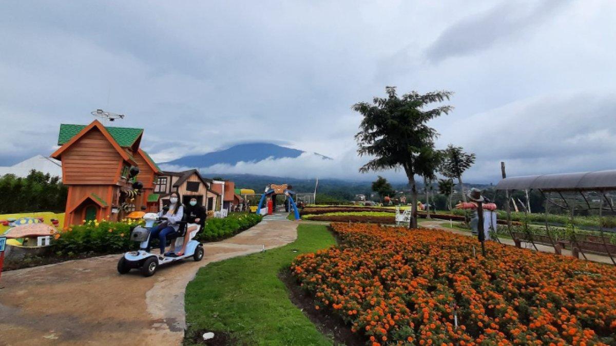 WISATA MENARIK - Potret Batu Love Garden disadur dari Kompas.com pada Rabu (21/5/2025). Batu Love Garden berada di Jalan Raya Pandanrejo Nomor 91, Pandanrejo, Kecamatan Bumiaji, Kota Batu. 
