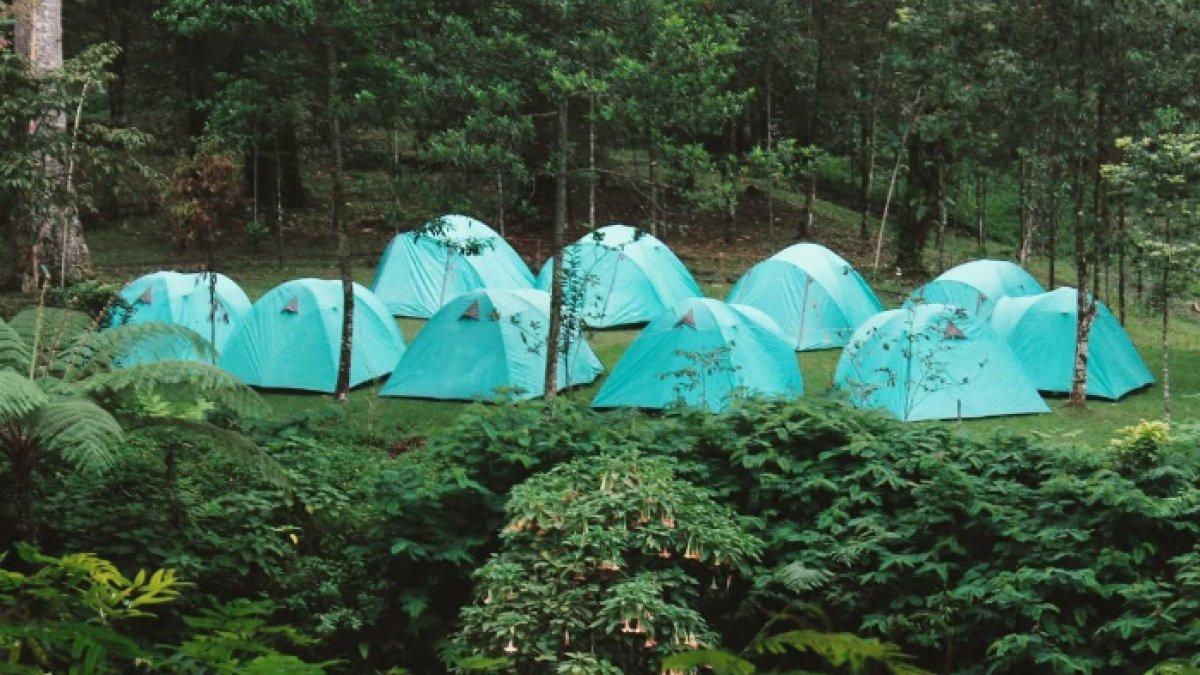 WISATA SERU - Potret Baturraden Adventure Forest diambil dari Instagram pada Selasa (8/4/2025). Baturraden Adventure Forest berada di Kabupaten Banyumas, Jawa Tengah.