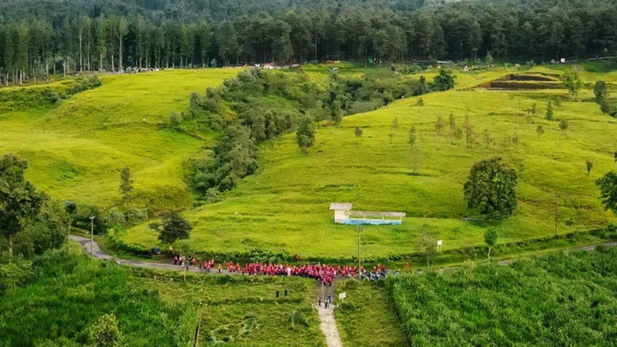 WISATA SERU - Potret Baturraden Adventure Forest diambil dari Instagram pada Selasa (8/4/2025). Baturraden Adventure Forest berada di Kecamatan Baturaden, Kabupaten Banyumas, Jawa Tengah.