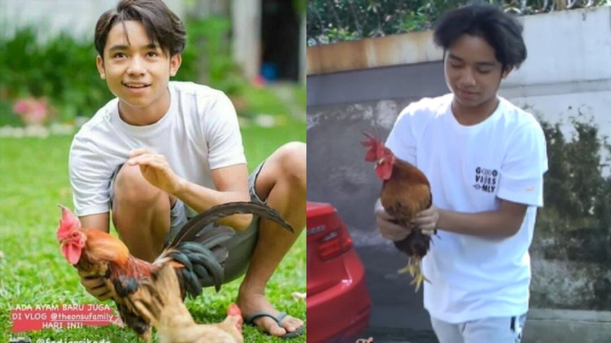 Beginilah nasib Betrand Peto setelah Sarwendah dan Ruben Onsu cerai, kini pilih tinggal di rumah ini, bisa bebas pelihara ayam.