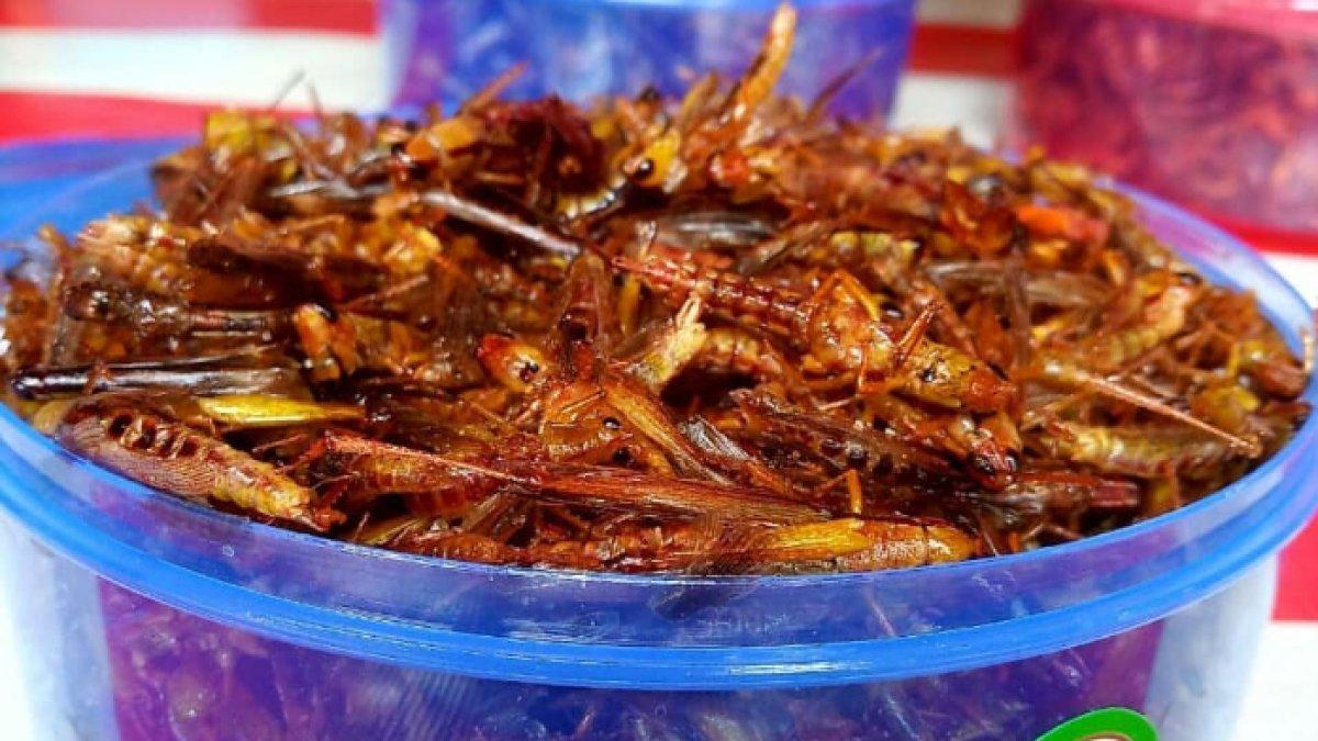 REKOMENDASI KULINER KHAS: Belalang Goreng