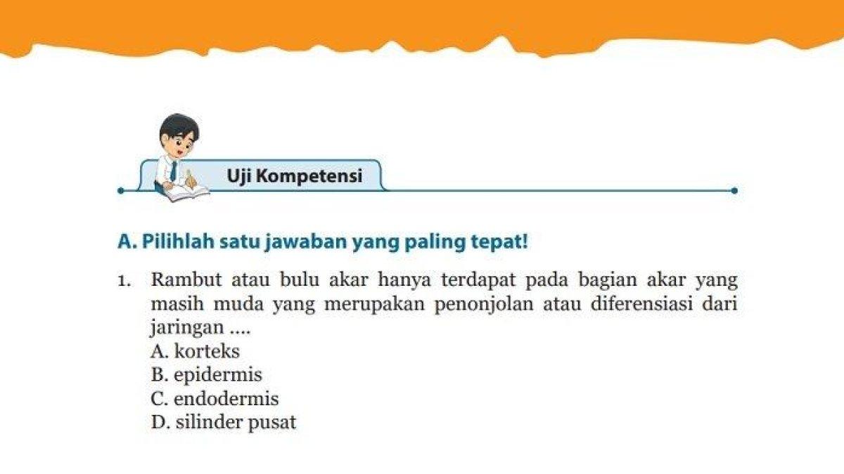 Berikut adalah kunci jawaban IPA Kelas 8 SMP Halaman 149, 150 dan 151