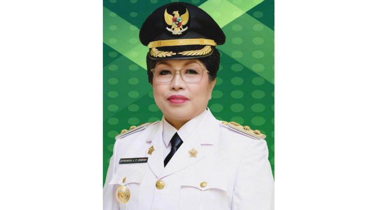 KEPALA DAERAH - Berikut sosok dan profil  Efrensia L.P Umbing, Wakil Bupati Gunung Mas yang dilantik Prabowo Subianto.