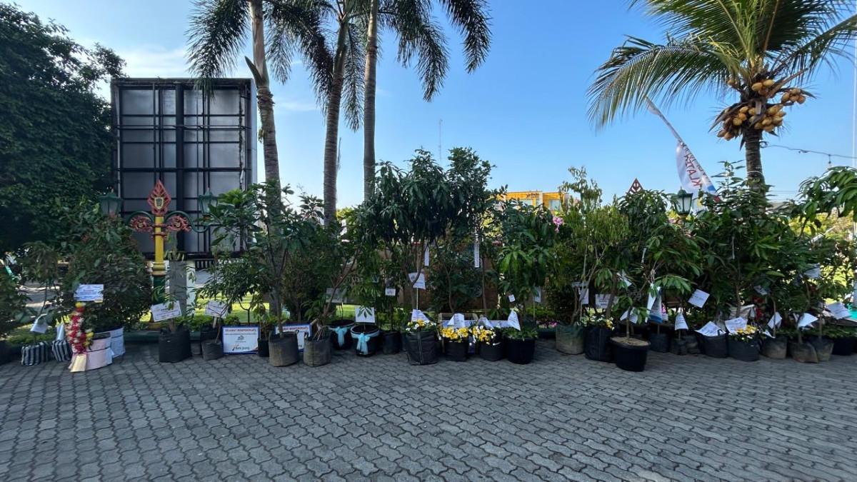 HUT KLATEN - Bibit pohon berjejer rapih di Kompleks Kantor Bupati Klaten dari jajaran Forkopimda, organisasi perangkat daerah (OPD), hingga perusahaan dan masyarakat umum sebagai pengganti karangan bunga ucapan selamat Hari Jadi ke-221 Klaten, Senin (28/7/2025).