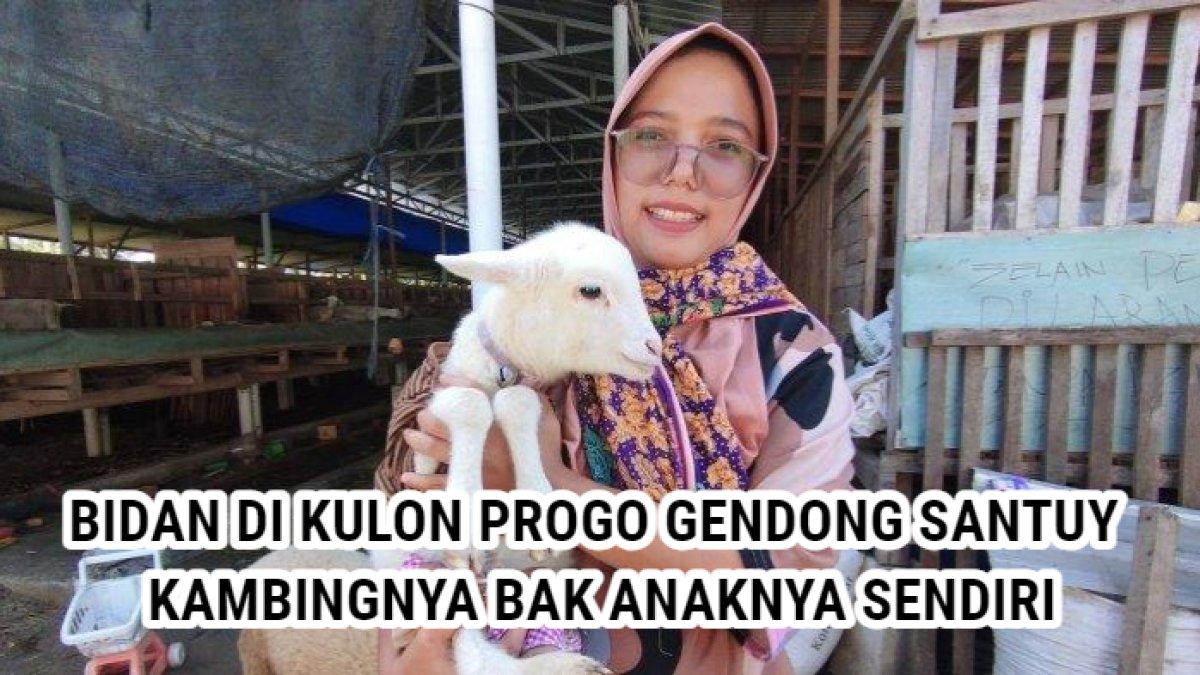 Bidan di Kulon Progo, Daerah Istimewa Yogyakarta (DIY) memperlakukan anak kambingnya seperti anaknya sendiri.