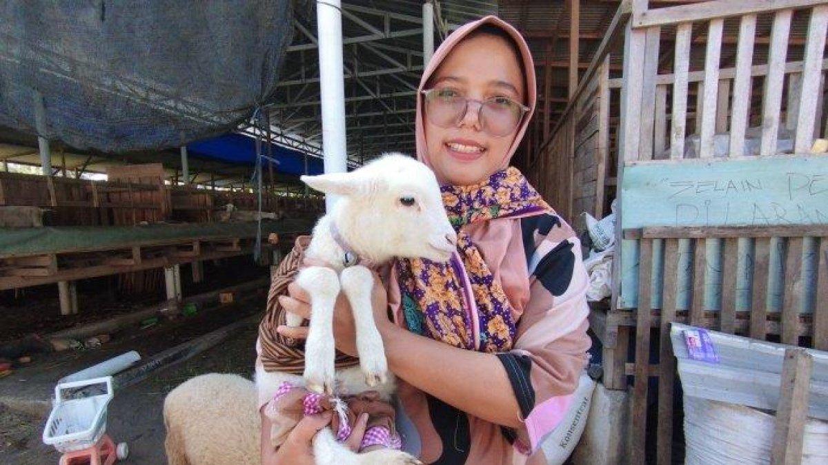 Bidan di Kulon Progo, Daerah Istimewa Yogyakarta (DIY) memperlakukan anak kambingnya seperti anaknya sendiri.