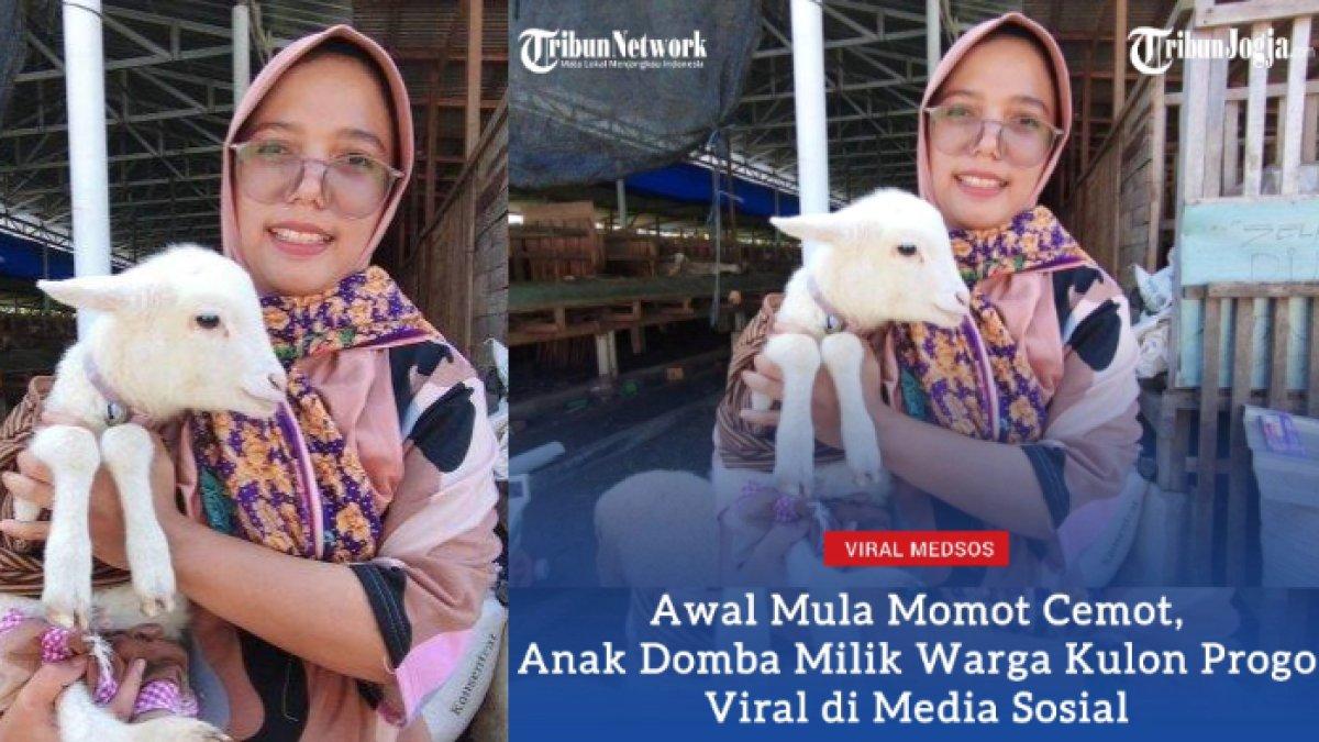 Bidan di Kulon Progo, Daerah Istimewa Yogyakarta (DIY) memperlakukan anak kambingnya seperti anaknya sendiri.