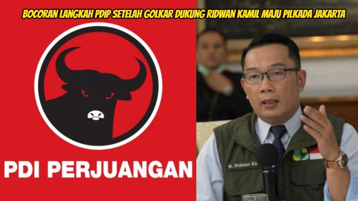 Bocoran langkah PDIP setelah Golkar dukung Ridwan Kamil maju Pilkada Jakarta