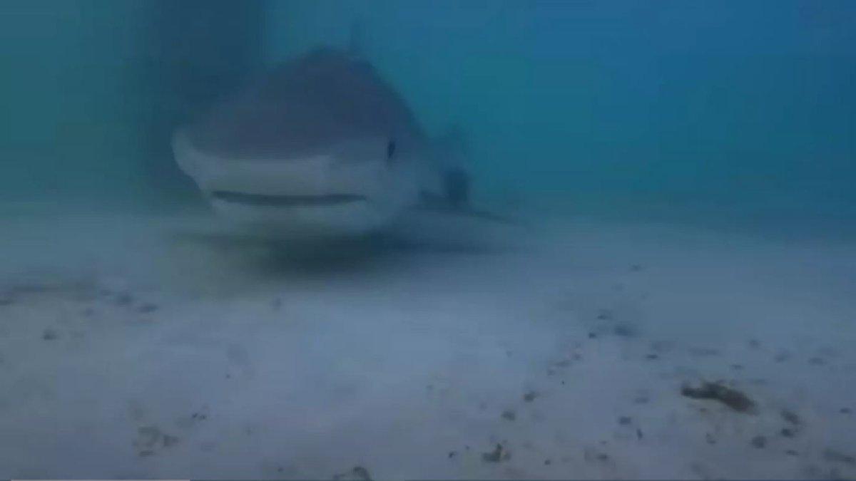 Brant Peacher memasukkan GoPro ke tali pancingnya dan menurunkannya ke dalam air.