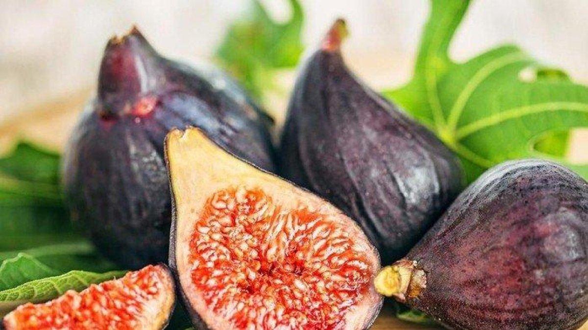 Buah tin untuk atasi anemia