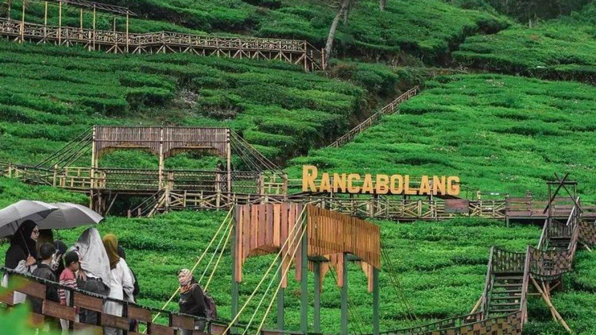 WISATA ALAM - Potret wisatawan di Bukit Jamur Ciwidey disadur dari Kompas.com pada Kamis (6/3/2025). Bukit Jamur Ciwidey berlokasi di Bandung, Jawa Barat.