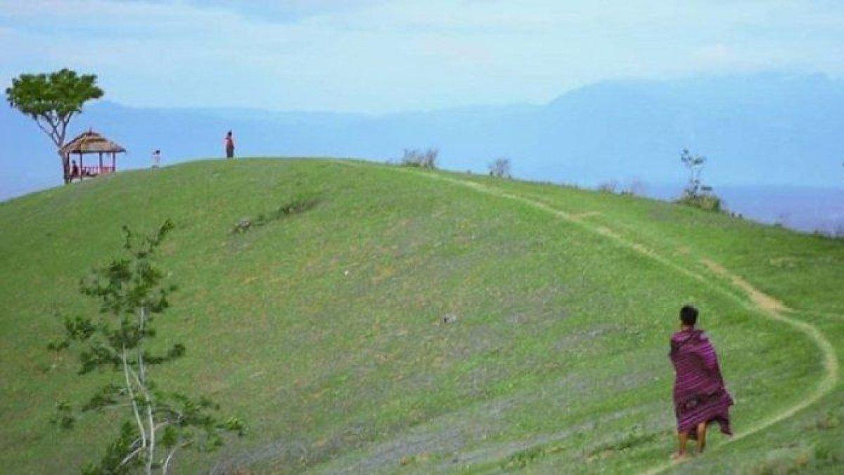 Bukit Satu Pohon Sibedi Sigi - Bukit Satu Pohon Sibedi di Desa Sibedi, Kecamatan Marawola, Kabupaten Sigi, Sulawesi tengah, menjadi tujuan wisata warga perkotaan di akhir pekan.