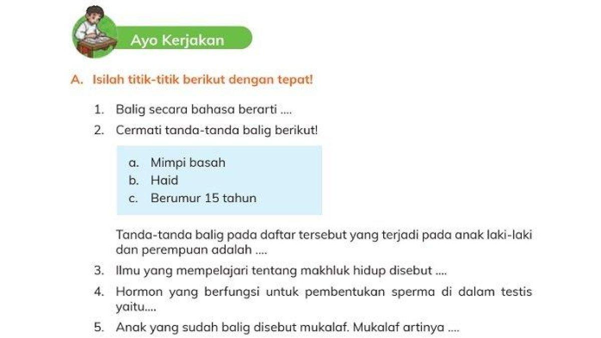 Buku PAI Kelas 4 Kurikulum Merdeka
