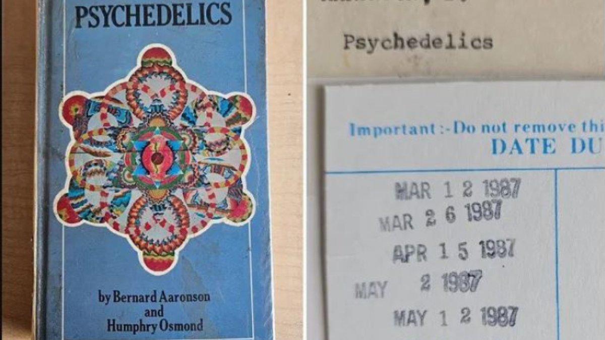 Buku berjudul Psychedelics, karya Bernard Aaronson
