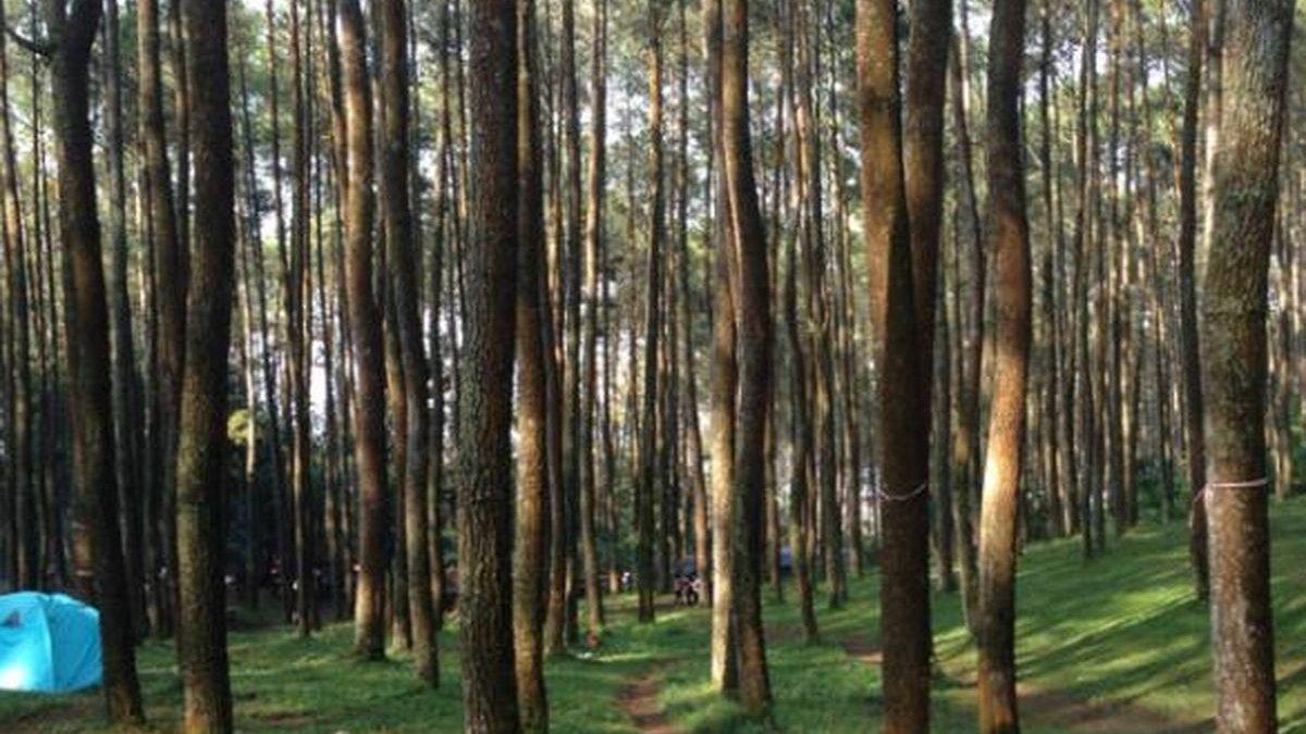 Bumi Perkemahan Batu Kuda di Desa Cibiru Wetan, Kecamatan Cileunyi, Kabupaten Bandung, Jawa Barat, Sabtu (21/5/2016) pagi.