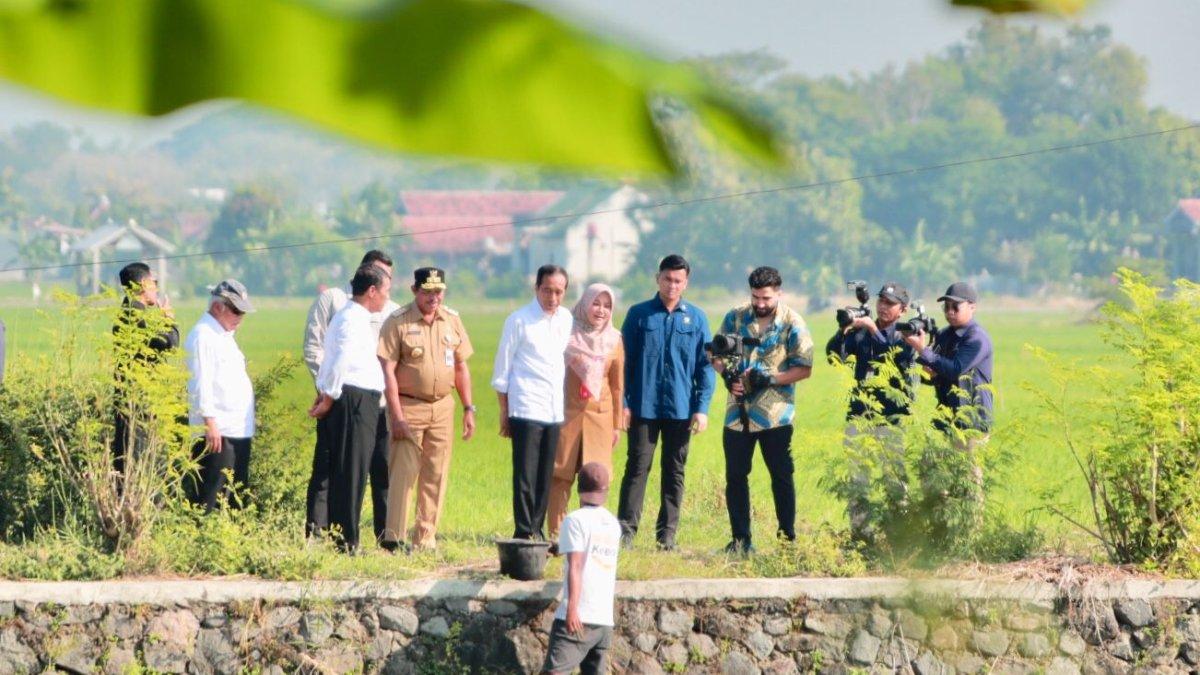 Jawaban soal 'analisislah relevansi kebijakan pemerintah dengan nawacita pemerintahan dalam mengembangkan kapasitas aparatur pemerintah!'