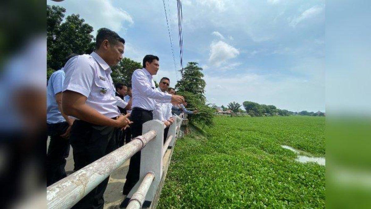 100 HARI KERJA - Bupati Lucky Hakim saat melihat Sungai Cimanuk yang dipenuhi eceng gondok di wilayah Bojongsari Indramayu, Rabu (9/4/2025). Ia memerintahkan agar eceng gondok tersebut dibersihkan.