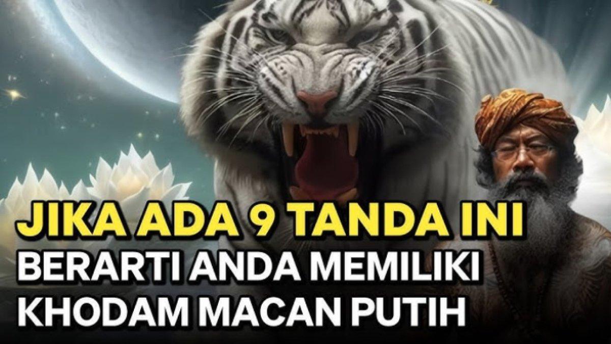Cara jitu cek khodam online dengan klik link ini dan ketik namamu, cari tahu apakah kamu memiliki khodam macan putih?