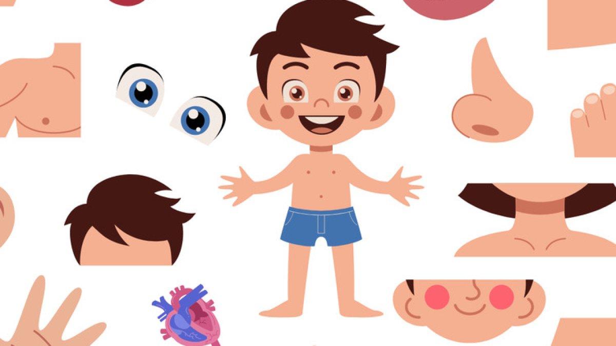 Cara kita mengenal bahasa tubuh