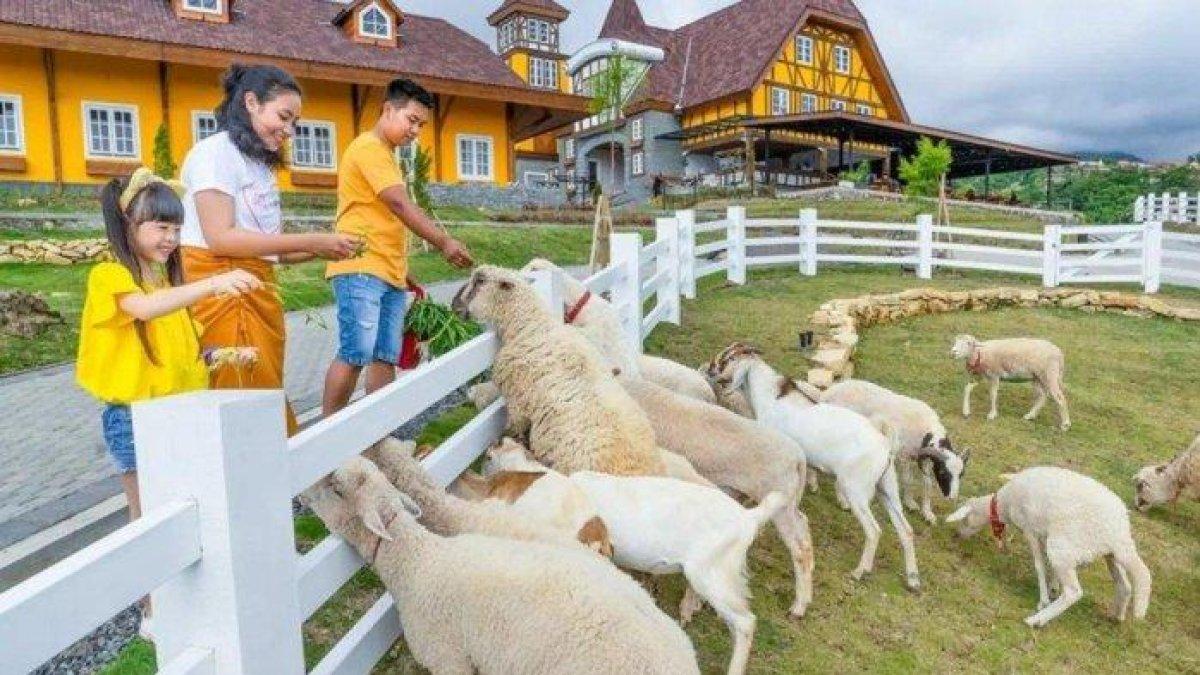 DESTINASI WISATA BOYOLALI - Cepogo Cheese Park, satu tempat wisata baru di Boyolali