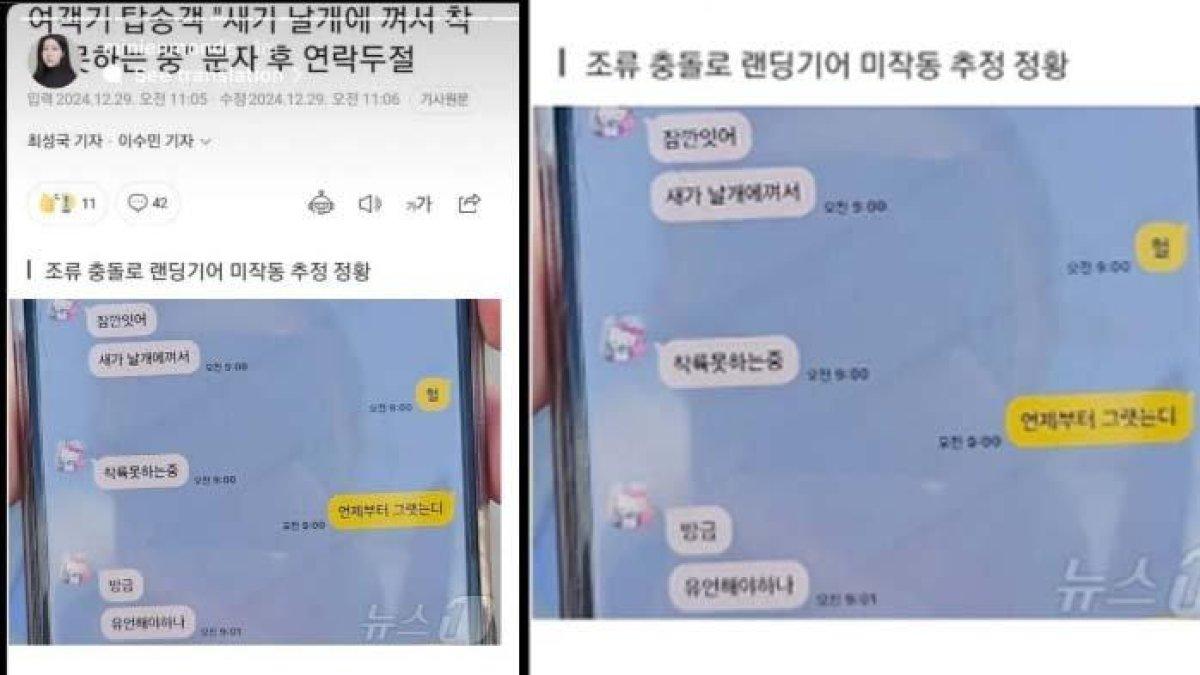 Chat terakhir penumpang pesawat Jeju Air beberapa saat sebelum kecelakaan viral di media sosial